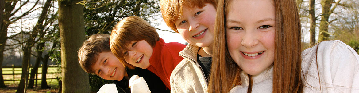 Beijing Language and Culture University